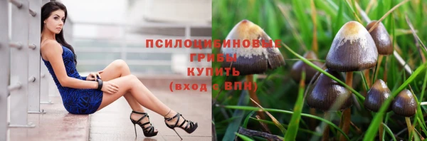 СК Армянск