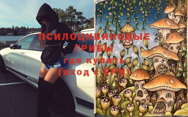 таблы Алексин