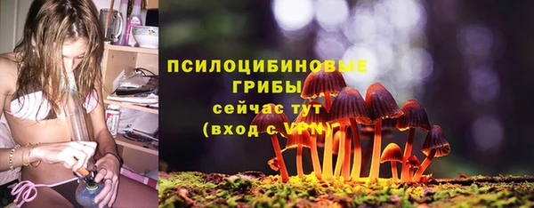 каннабис Арсеньев