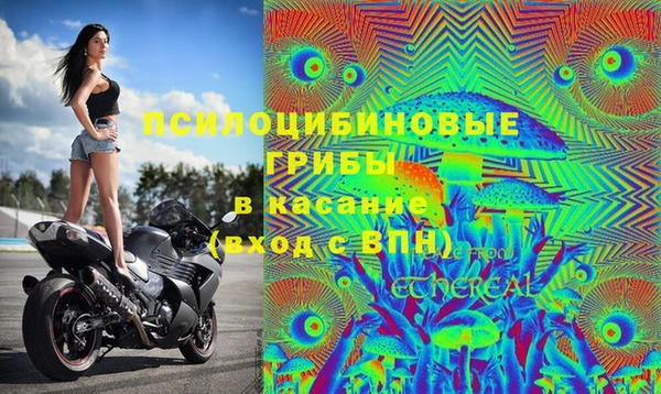 таблы Алексин