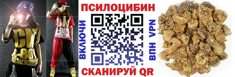 Галлюциногенные грибы Psilocybe  где можно купить наркотик  Харабали 